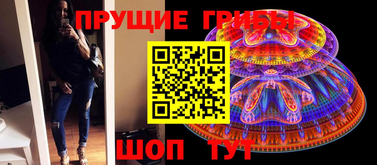 Галлюциногенные грибы MAGIC MUSHROOMS  Вход с VPN  купить закладку  Псилоцибиновые грибы Psilocybine cubensis  Ртищево 