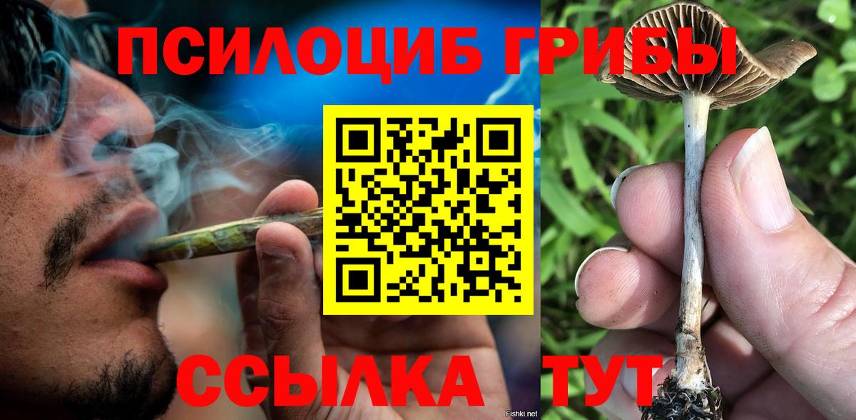 Галлюциногенные грибы мицелий Ртищево